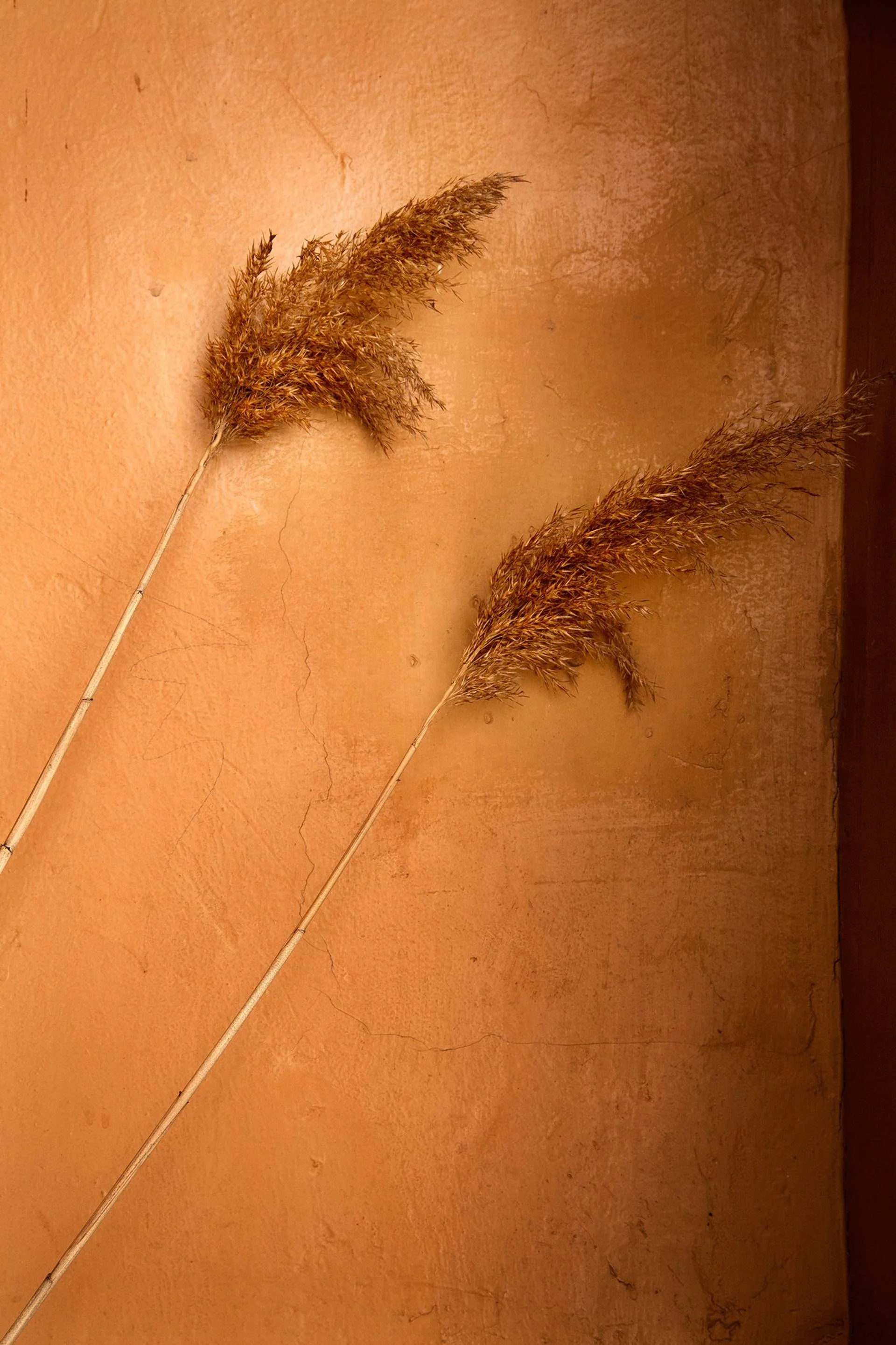 Isolation. Day 41 — Limited Edition of 3 — original Color Digital on Paper painting by Vera Petkova, 70 W x 105 H x 0.1 D cm