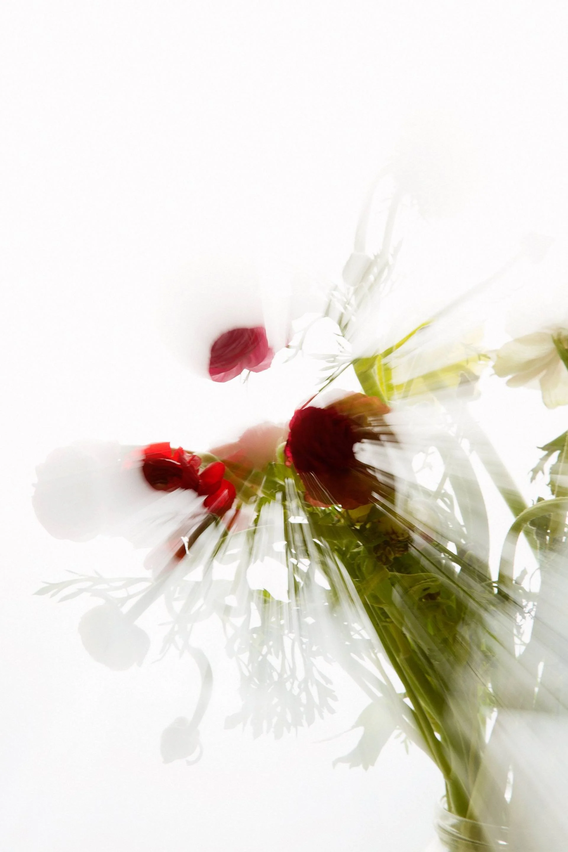 Translucent I — Limited Edition of 20