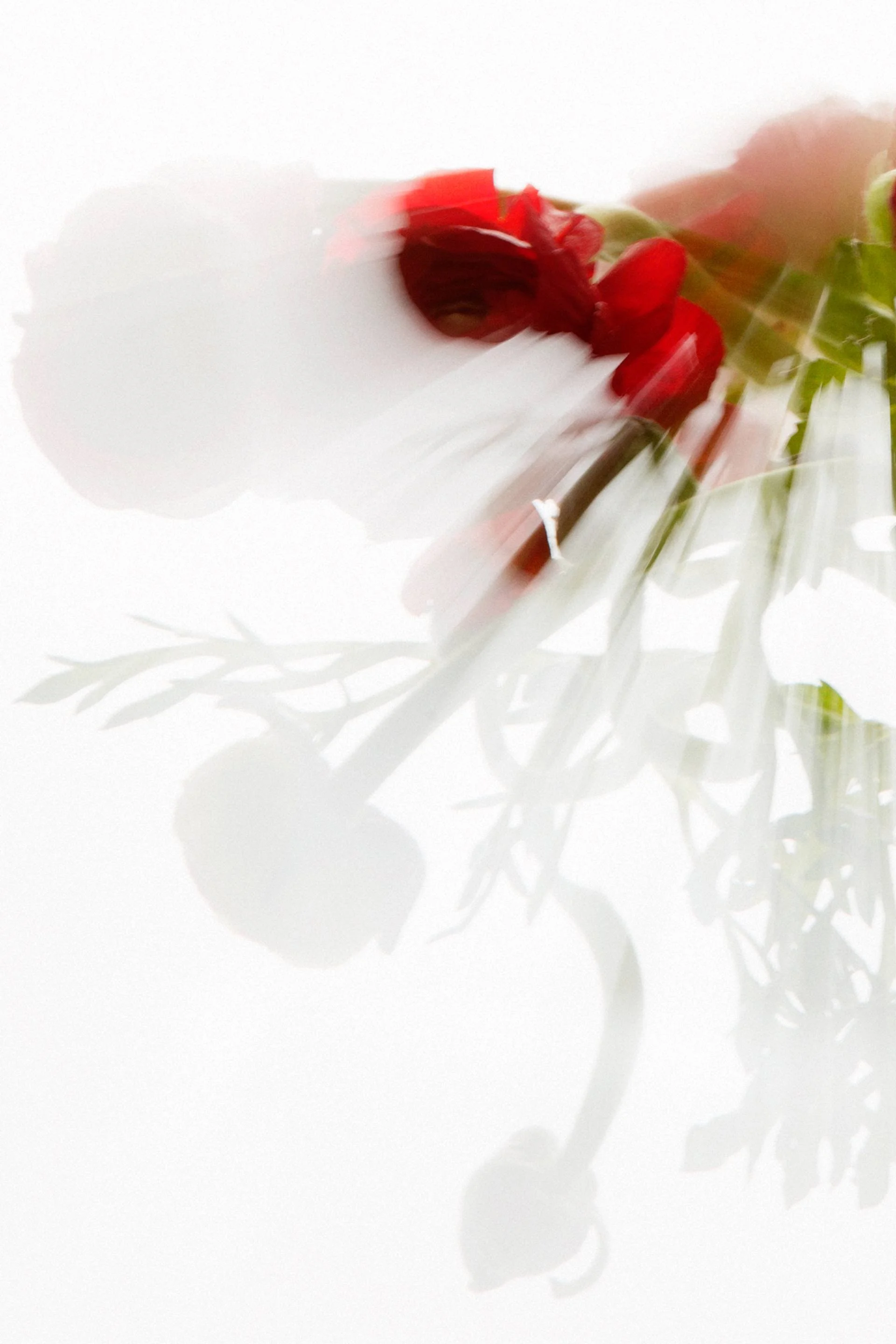 Translucent I — Limited Edition of 20 - 2